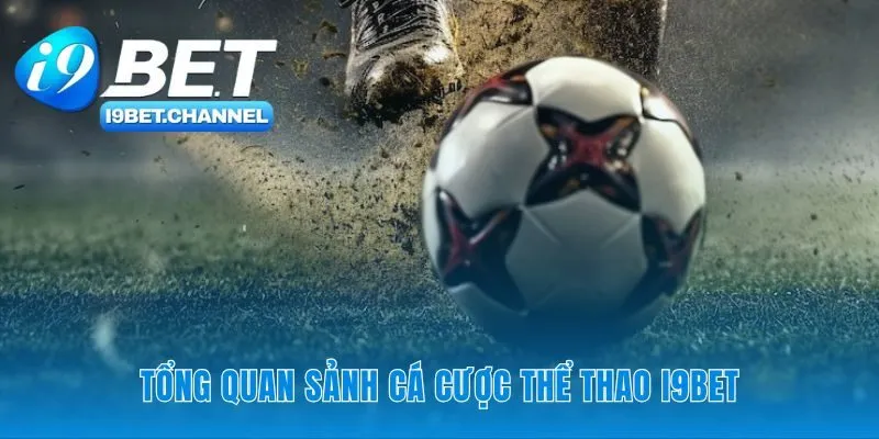 Nền tảng công nghệ cho trải nghiệm cá cược thể thao